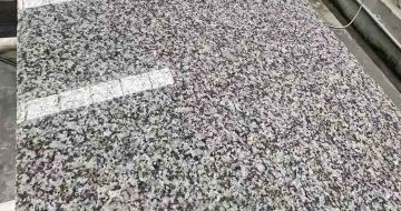 福建 芙蓉白光面