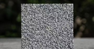 福建 芝麻黑荔枝面