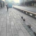 福建仿古石铺装效果