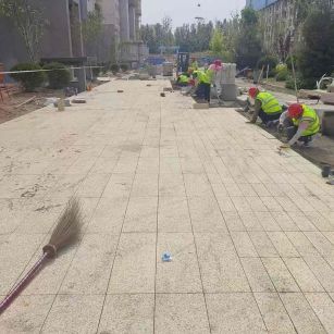 福建黄金麻荔枝面地铺案例