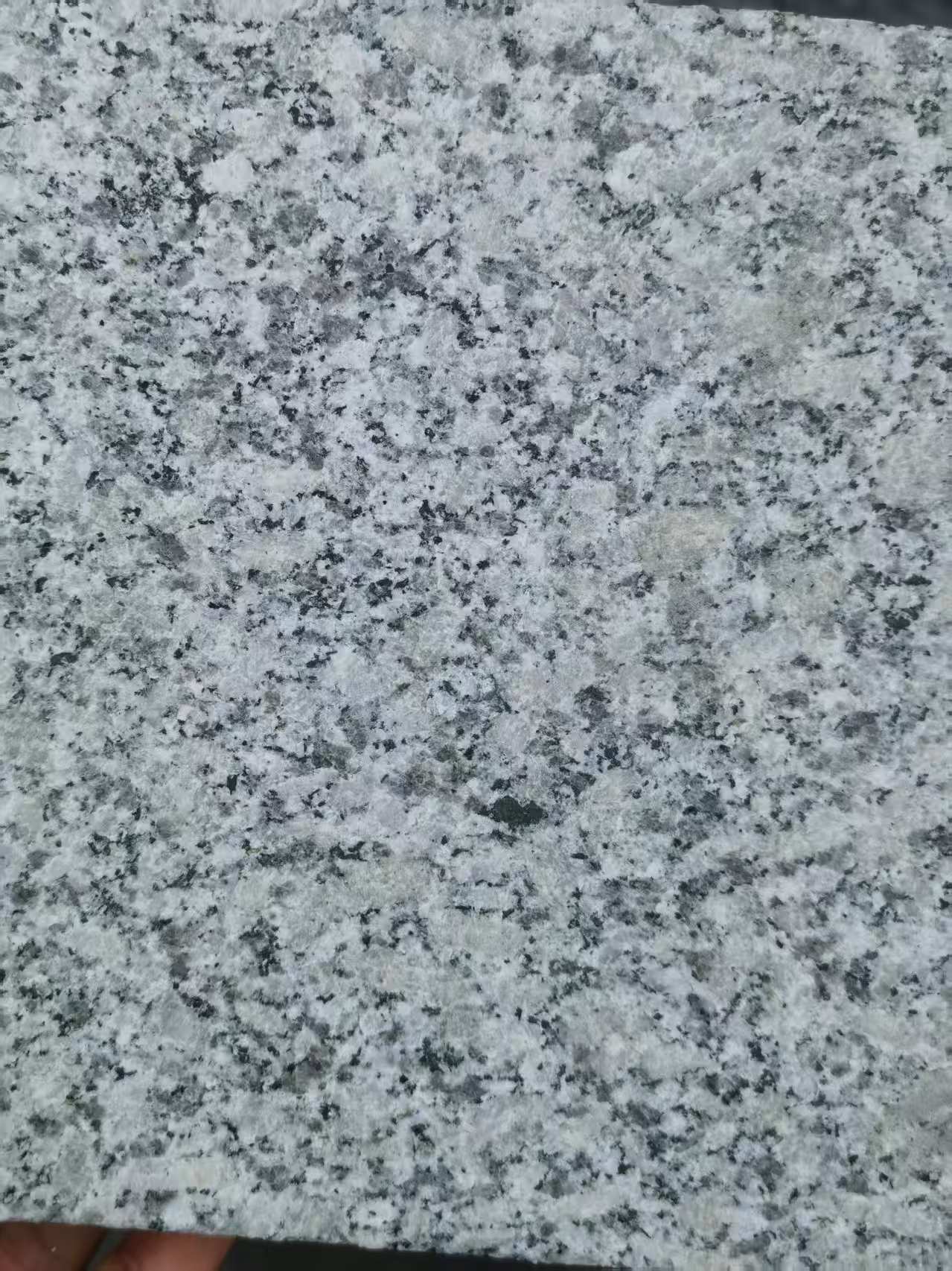 福建 芙蓉白火烧面