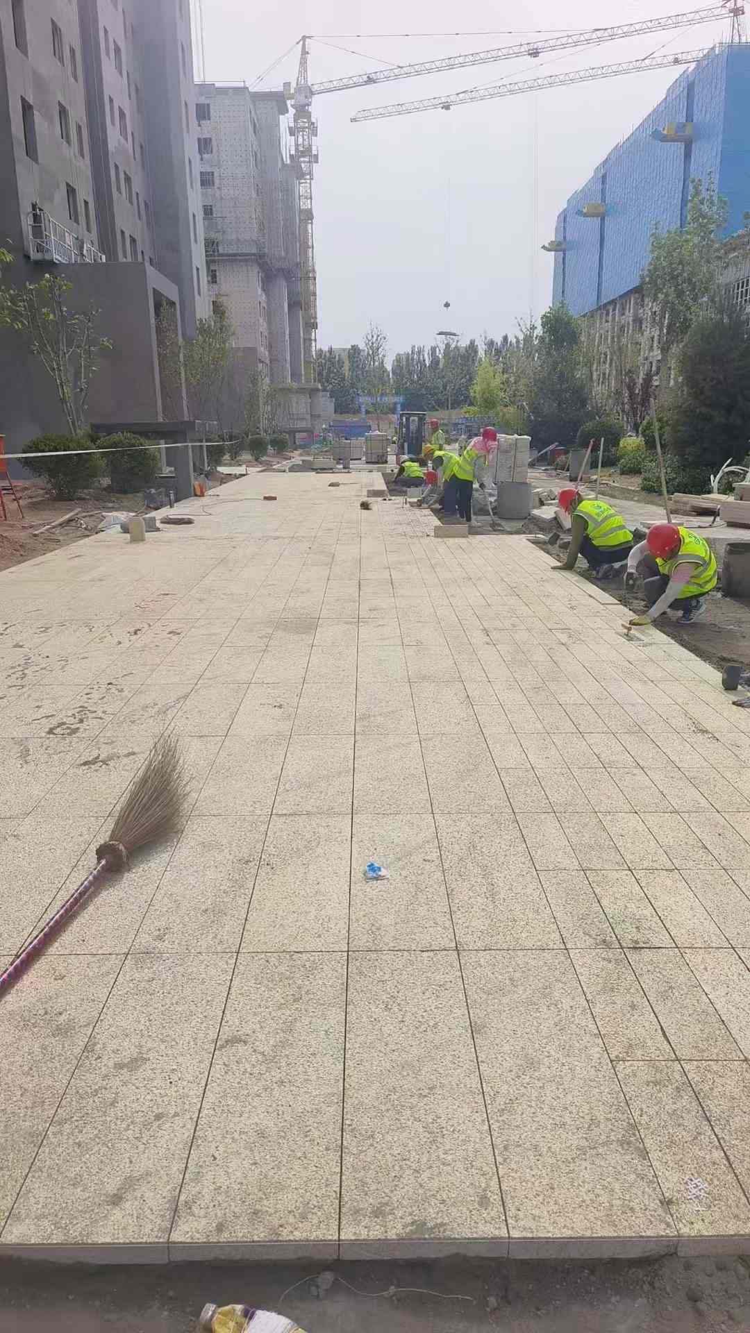 福建黄金麻荔枝面地铺案例