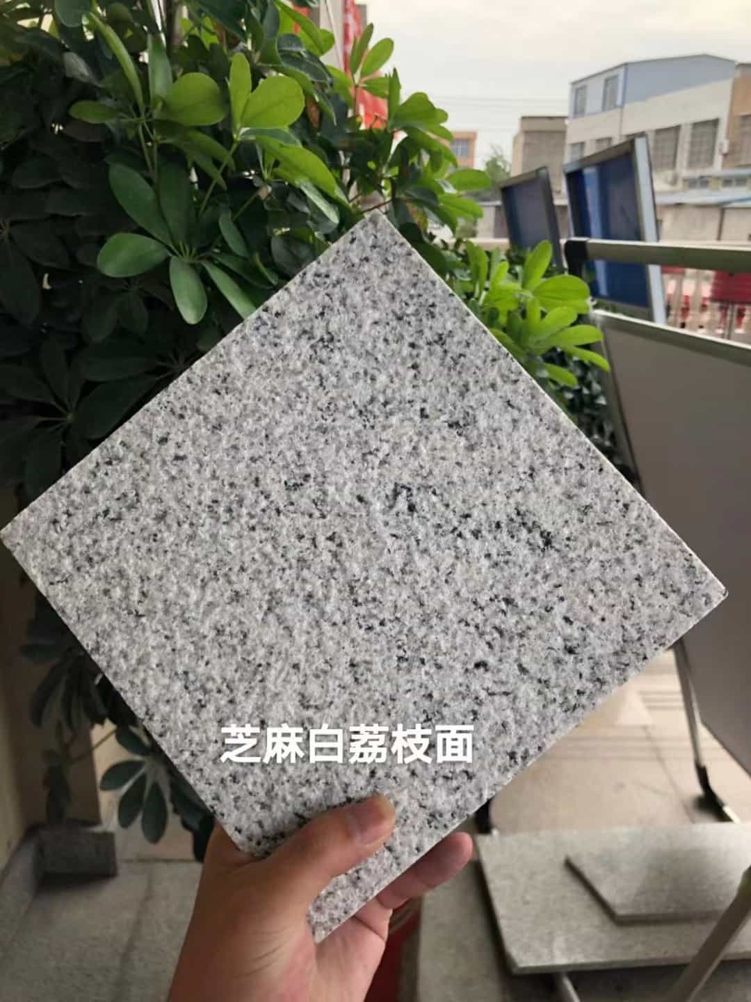 福建 芝麻白荔枝面干挂