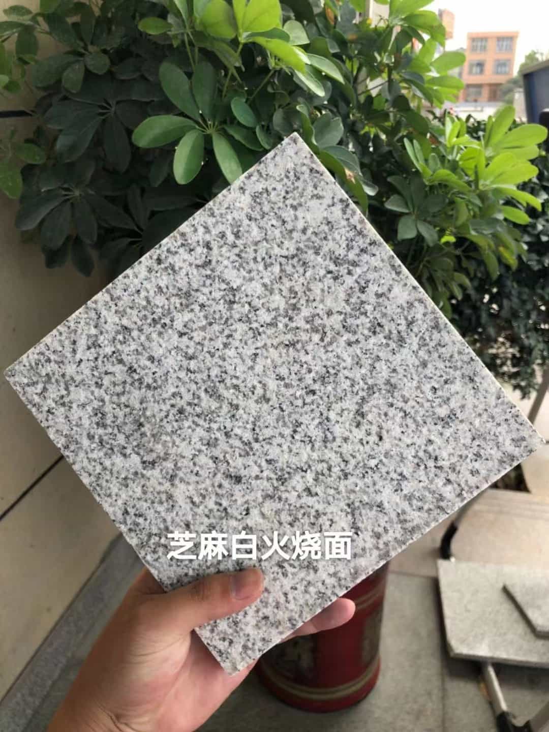 福建芝麻白火烧面地铺