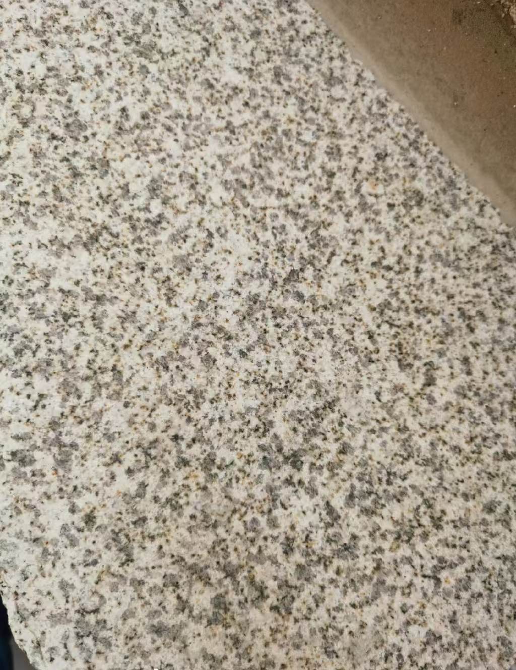 福建 黄金麻中黄光面