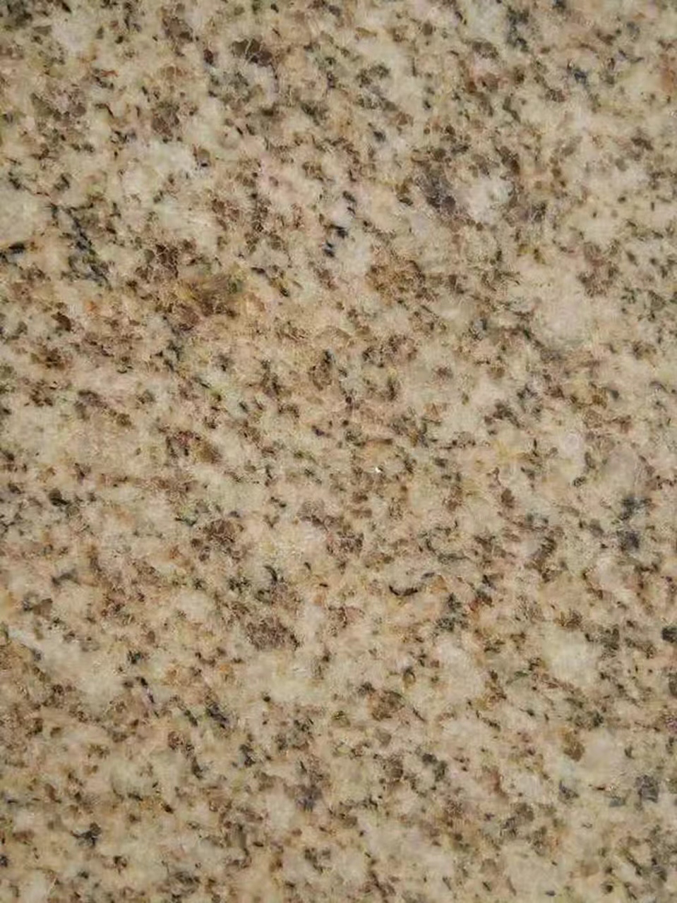 福建黄金麻光面大花